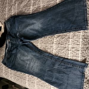 Maurices Jeans size 22